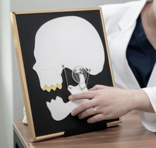 Qualified Dentist